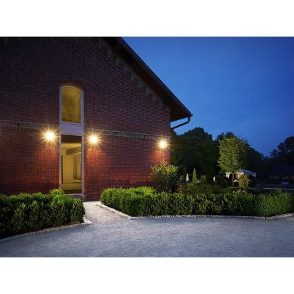 Steinel 052546 - Светодиодный прожектор с датчиком LS150LED 1xLED/20,5W/230V черный IP44