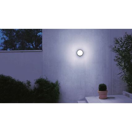STEINEL 053079 - LED Вуличний настінний світильник з датчиком L330 LED/9W/230V 3000K IP44