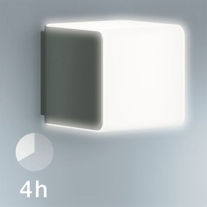 Steinel 055493 - Вуличний світлодіодний світильник з датчиком L 830 LED/9,5W/230V IP44 антрацит
