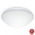 Steinel 056087 - Світлодіодний стельовий світильник для ванної кімнати RSPROP2 LED/15,5W/230V 4000K IP54