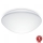 Steinel 056131 - Світлодіодний стельовий світильник для ванної кімнати RS PRO LED P3 LED/19,5W/230V IP54 3000K