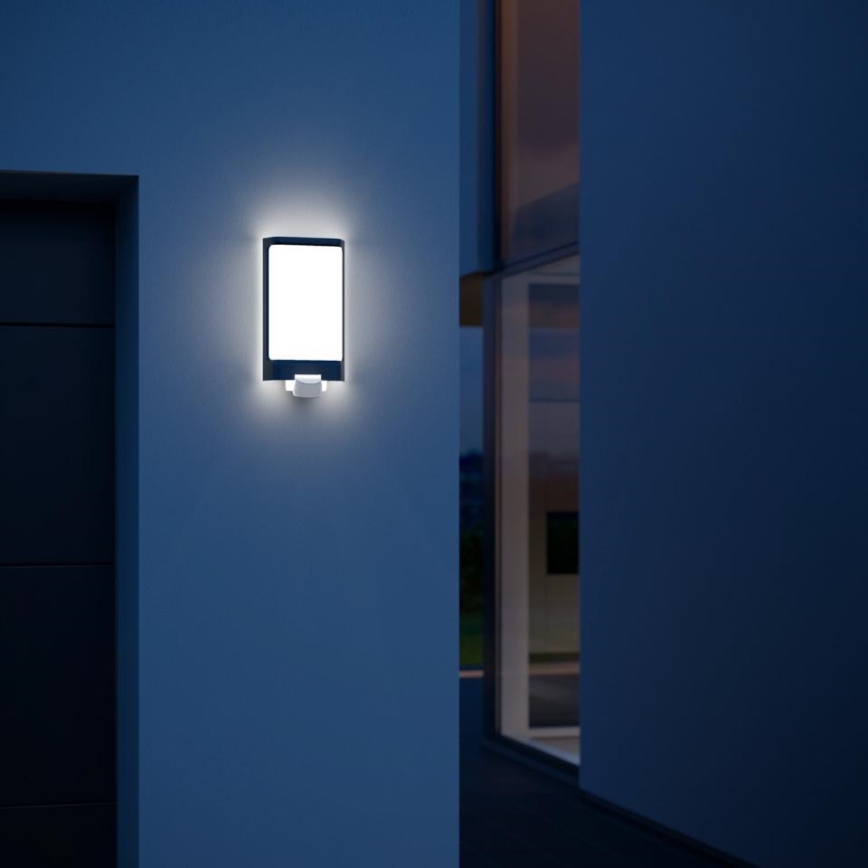 Steinel 056506 - Вуличний світлодіодний світильник з датчиком L 240 LED/7,5W/230V IP44
