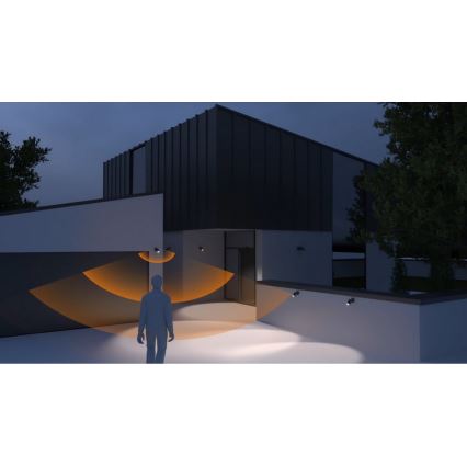 Steinel 058647 - Уличный светильник с датчиком SPOT DUO 2xGU10/7,5W/230V IP44