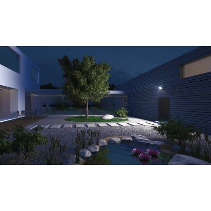 Steinel 065249 - Світлодіодний прожектор з датчиком XLED ONE LED/18,6W/230V IP44