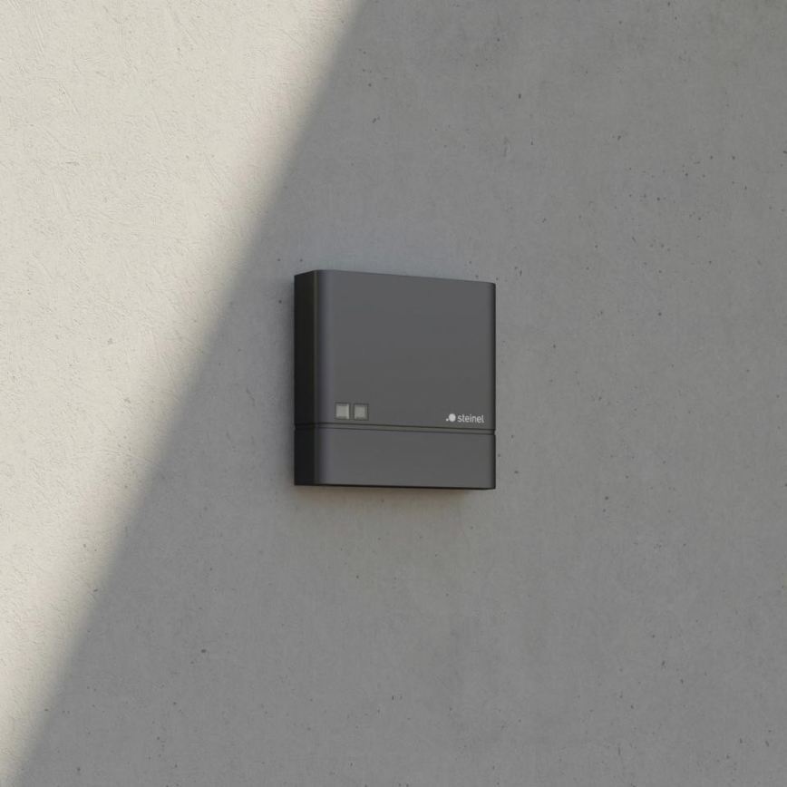 Steinel 066116 - Датчик освітленості NIGHTMATIQ Plus IP54 антрацит