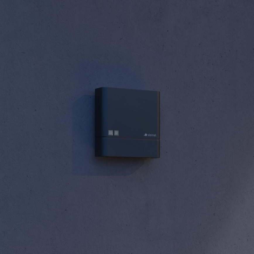 Steinel 066116 - Датчик освітленості NIGHTMATIQ Plus IP54 антрацит