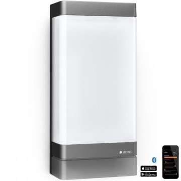 Steinel 067212 - Светодиодный уличный светильник с датчиком L 271 SC LED/6,6W/230V 3000K IP44