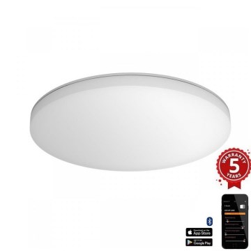 Steinel 067700 - Стельовий LED світильник із регулюванням яскравості та датчиком RS PRO R10 PLUS SC 8,5W/230V IP40 4000K
