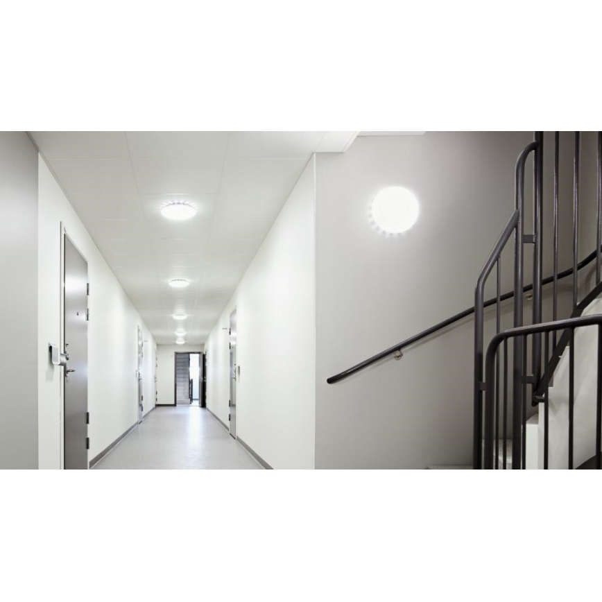 Steinel 068042 - Стельовий LED світильник з датчиком RS PRO S30 SC 25,8W/230V 4000K