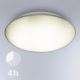 Steinel 068196 - Світлодіодний стельовий світильник для ванної кімнати з датчиком DL Vario Quattro PRO S LED/14W/230V 4000K IP54