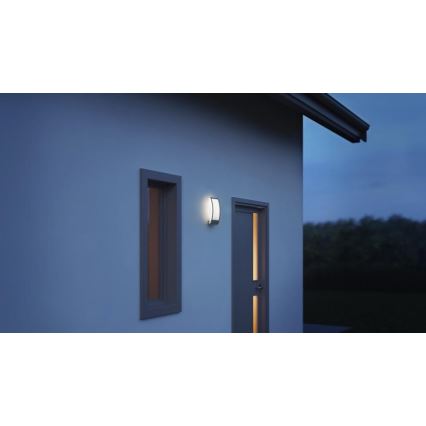 Steinel 069254 - Вуличний настінний світильник L 22 1xE27/60W/230V IP44 антрацит