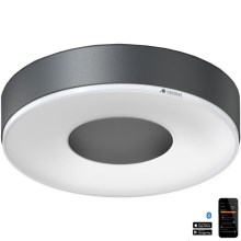 Steinel 078782 - Светодиодный потолочный светильник с датчиком RS 200 SC LED/17,1W/230V 3000K IP54
