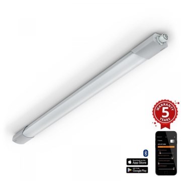 Steinel 079185 - Технічний LED світильник з датчиком RSPRO 5100SC LED/31W/230V IP66
