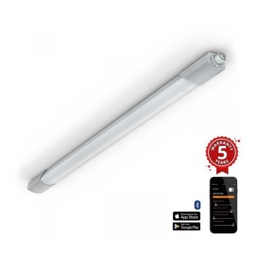 Steinel 079338 - Світлодіодний технічний світильник з датчиком RS PRO 5150 SC 5C LED/42W/230V IP66