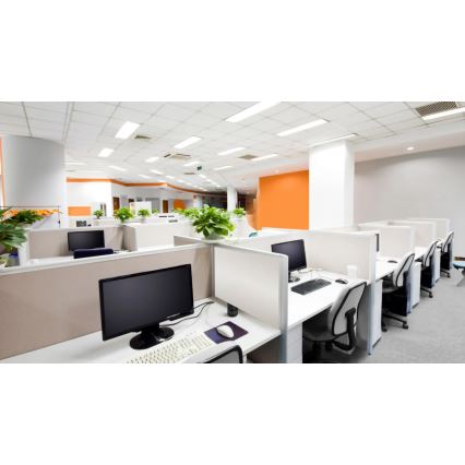 Steinel 079581 - Датчик присутності DualTech KNX білий