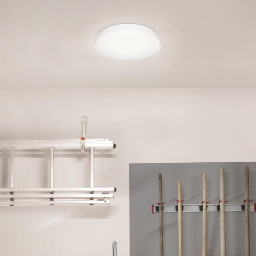 Steinel 079734 - Светодиодный потолочный светильник с датчиком RS 20 S LED/9,4W/230V 3000K IP44