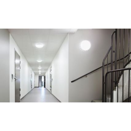Steinel 079789 - Светодиодный уличный потолочный светильник с датчиком RS PRO S20 SC LED/15,7W/230V IP65 3000K