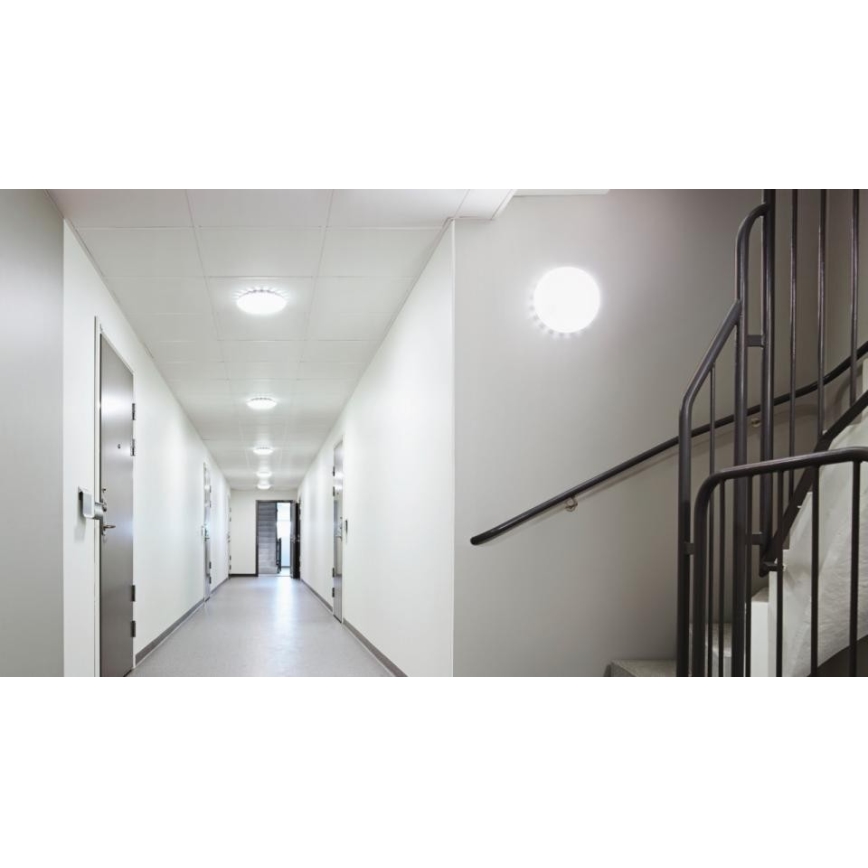 Steinel 079789 - Светодиодный уличный потолочный светильник с датчиком RS PRO S20 SC LED/15,7W/230V IP65 3000K