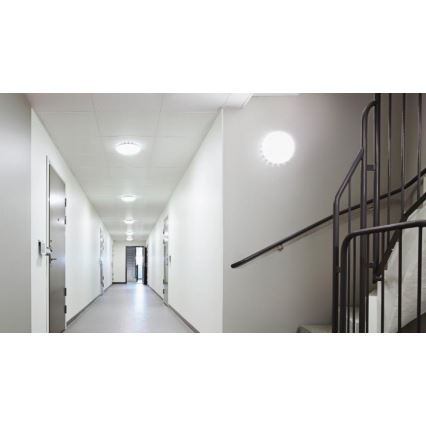 Steinel 081935 - НАБОР 5x Светодиодный потолочный светильник с датчиком RS PRO S10 SC LED/9,1W/230V 3000K
