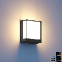 Steinel 085230 - LED Вуличний настінний світильник з регулюванням яскравості L40C LED/12,9W/230V IP54 антрацит