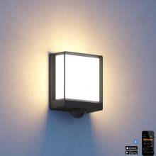 Steinel 085247 - LED Вуличний настінний світильник з регулюванням яскравості з датчиком L40SC LED/12,9W/230V