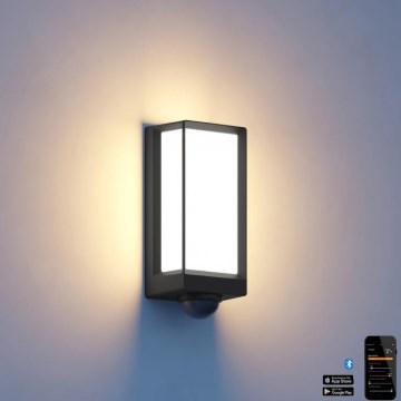 Steinel 085261 - LED Вуличний настінний світильник з регулюванням яскравості з датчиком L42SC LED/13W/230V IP54