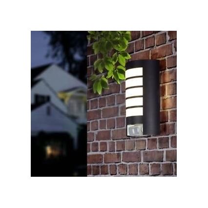 STEINEL 657819 - Уличный светильник с датчиком L12 1xE27/60W/230V IP44