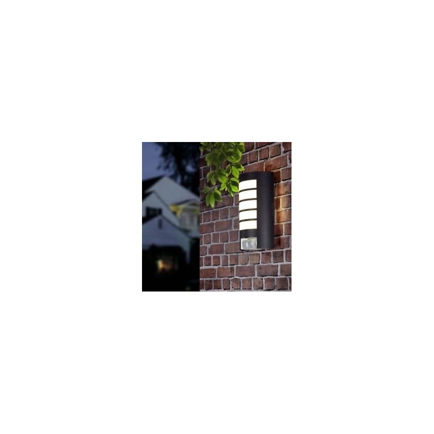 STEINEL 657819 - Уличный светильник с датчиком L12 1xE27/60W/230V IP44