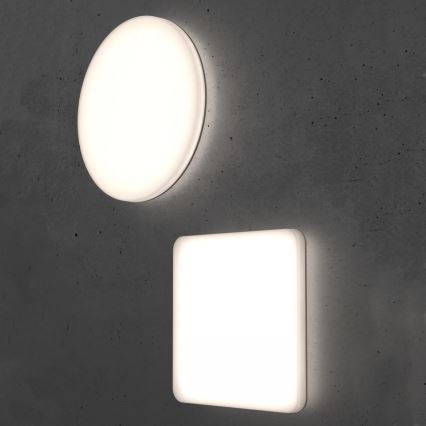 Steinel 067700 - Стельовий LED світильник із регулюванням яскравості та датчиком RS PRO R10 PLUS SC 8,5W/230V IP40 4000K