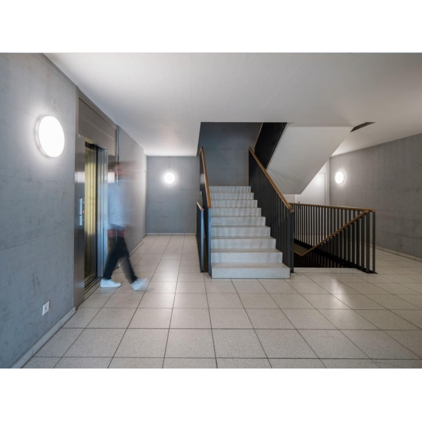 Steinel 067700 - Стельовий LED світильник із регулюванням яскравості та датчиком RS PRO R10 PLUS SC 8,5W/230V IP40 4000K