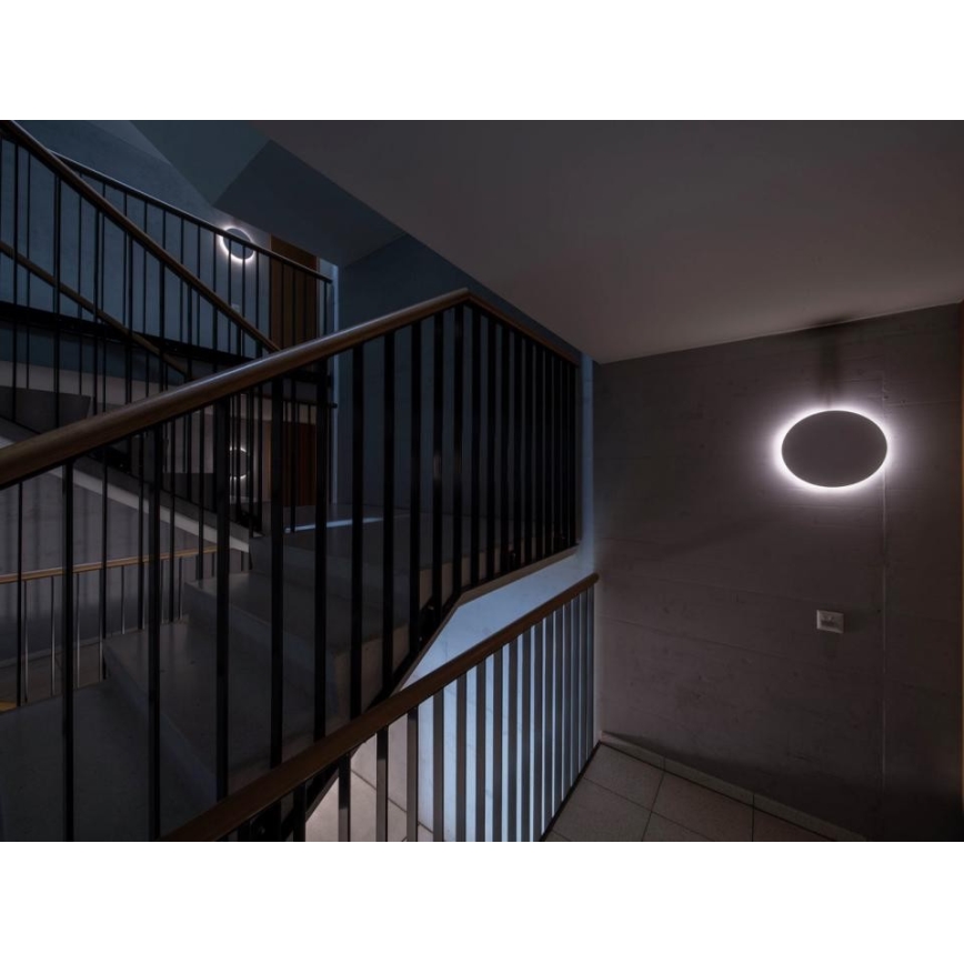 Steinel 067717 - Стельовий LED світильник із регулюванням яскравості та датчиком RS PRO R10 PLUS SC 8,5W/230V IP40 3000K