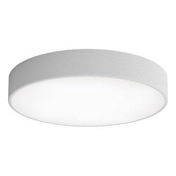 Стельовий LED світильник CLEO LED/69W/230V 3000K діаметр 50 см сірий