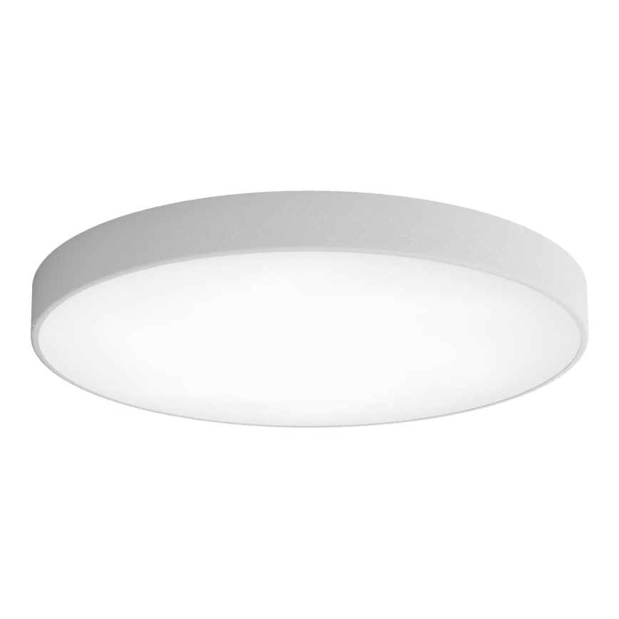 Стельовий LED світильник CLEO LED/96W/230V 3000K діаметр 80 см сірий