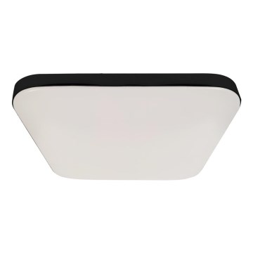 Стельовий LED світильник для ванної кімнати з датчиком NEMO LED/16W/230V IP44 чорний