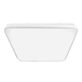 Стельовий LED світильник FABIO LED/23W/230V білий