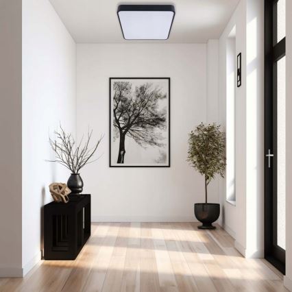 Стельовий LED світильник FELIZ LED/50W/230V 4000K 40x60 см чорний