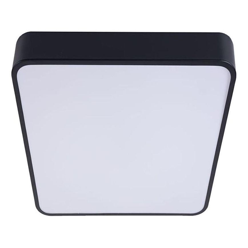 Стельовий LED світильник FELIZ LED/50W/230V 4000K 40x60 см чорний