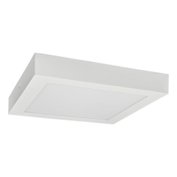 Стельовий LED світильник FENIX LED/24W/230V 3800K 29,8 см