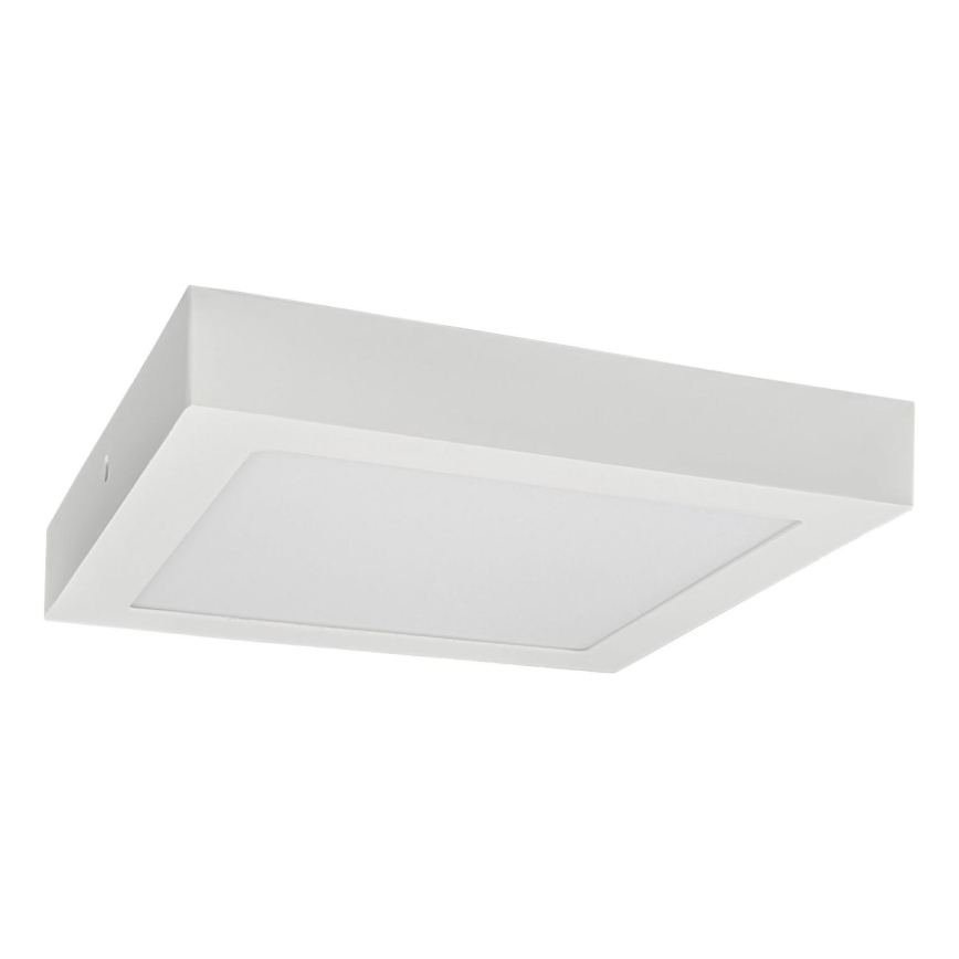 Стельовий LED світильник FENIX LED/24W/230V 3800K 29,8 см