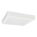 Стельовий LED світильник FENIX LED/24W/230V 3800K 29,8 см сніжно-білий