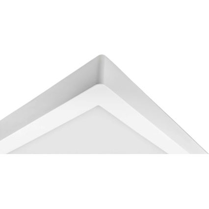 Стельовий LED світильник FENIX LED/32W/230V 3800K 40 см сніжно-білий