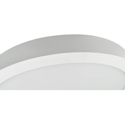 Стельовий LED світильник FENIX LED/32W/230V 3800K діаметр 40 см сніжно-білий