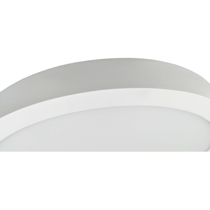 Стельовий LED світильник FENIX LED/32W/230V 3800K діаметр 40 см сніжно-білий
