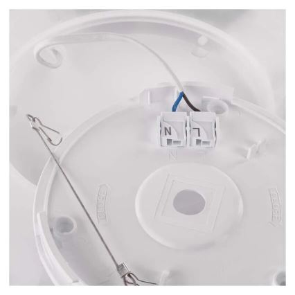 Стельовий LED світильник FLORI LED/18W/230V 4000K чорний 29x29 см
