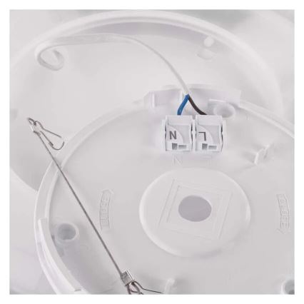 Стельовий LED світильник FLORI LED/18W/230V 4000K чорний діаметр 29 см