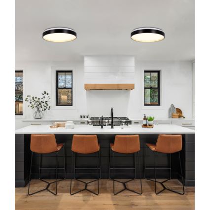 Стельовий LED світильник FLORIDA LED/18W/230V чорний