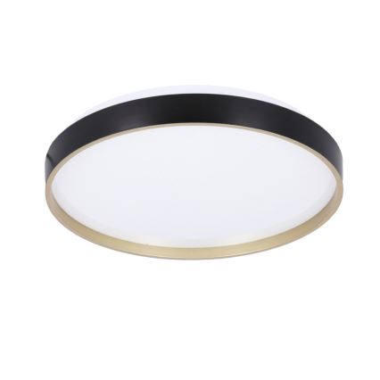 Стельовий LED світильник FLORIDA LED/18W/230V чорний
