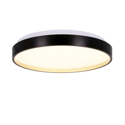 Стельовий LED світильник FLORIDA LED/18W/230V чорний