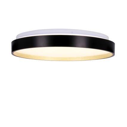 Стельовий LED світильник FLORIDA LED/18W/230V чорний