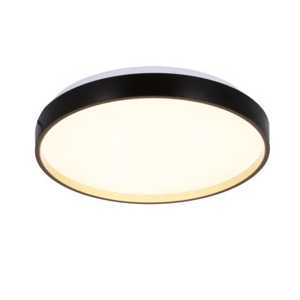 Стельовий LED світильник FLORIDA LED/18W/230V чорний